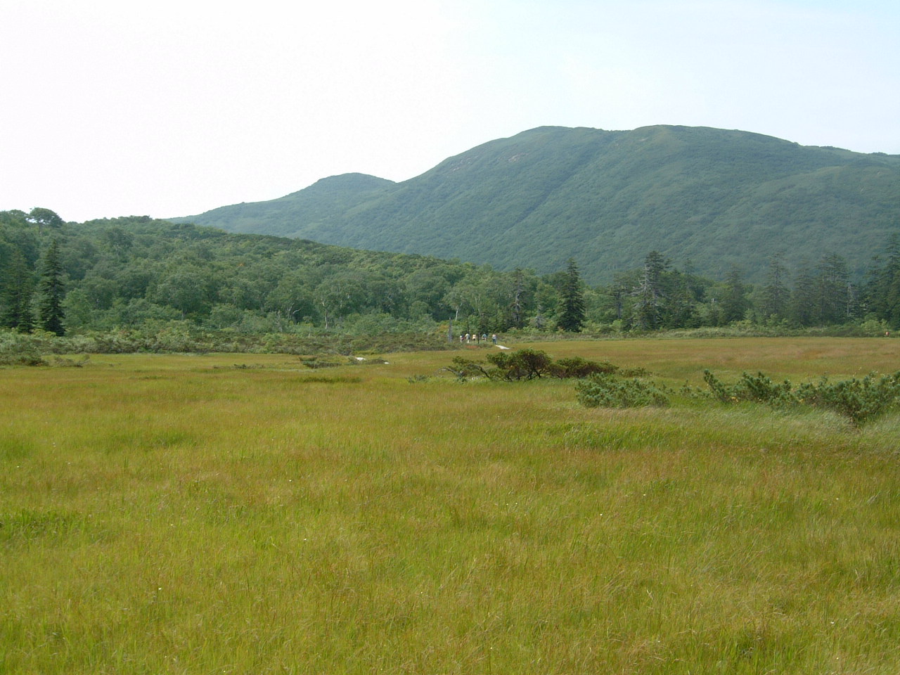 Hokkaido Niseko